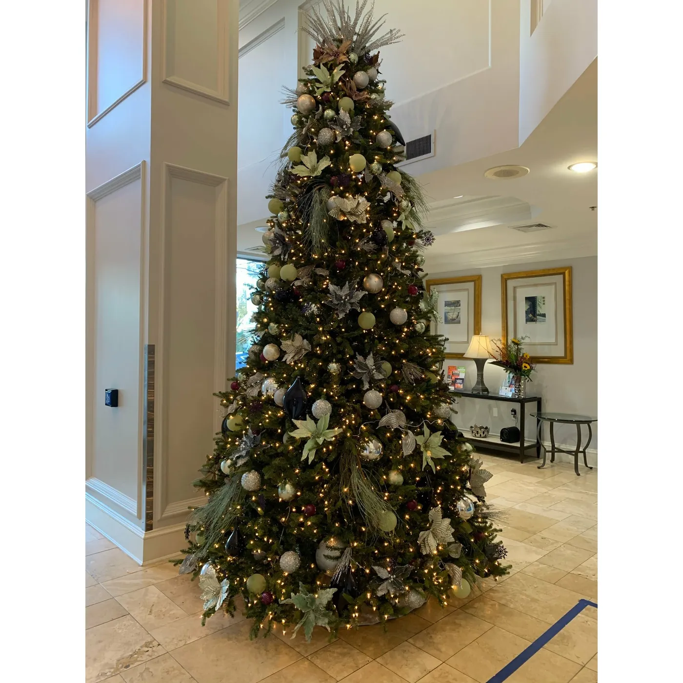 Lifelike Trees with White Lights – Bloompop
