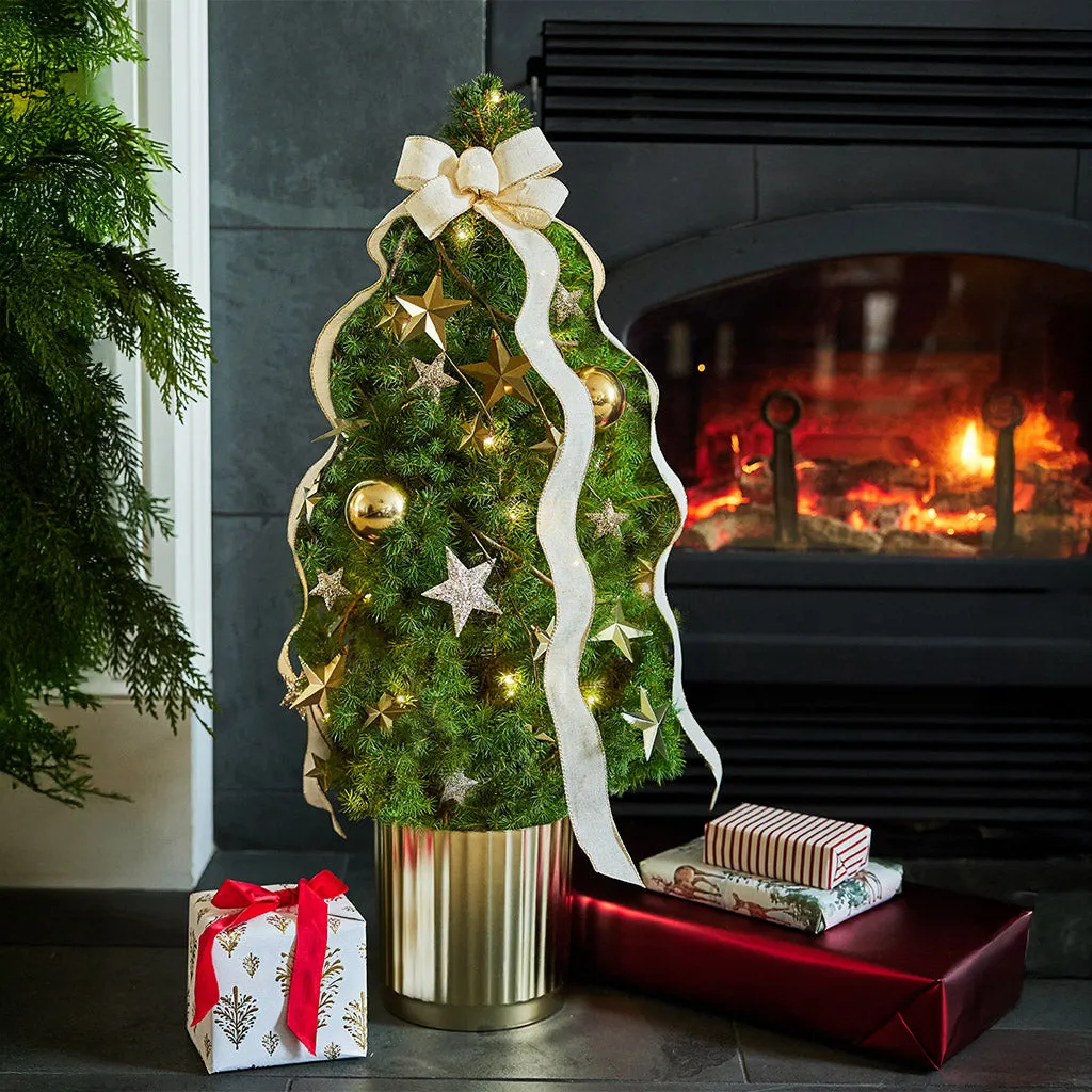 Living Christmas Trees – Lynch Creek Farm