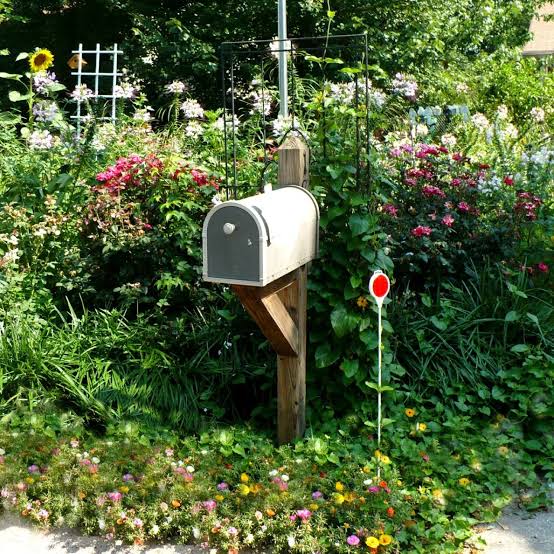 Mailbox Landscape Design | HGTV