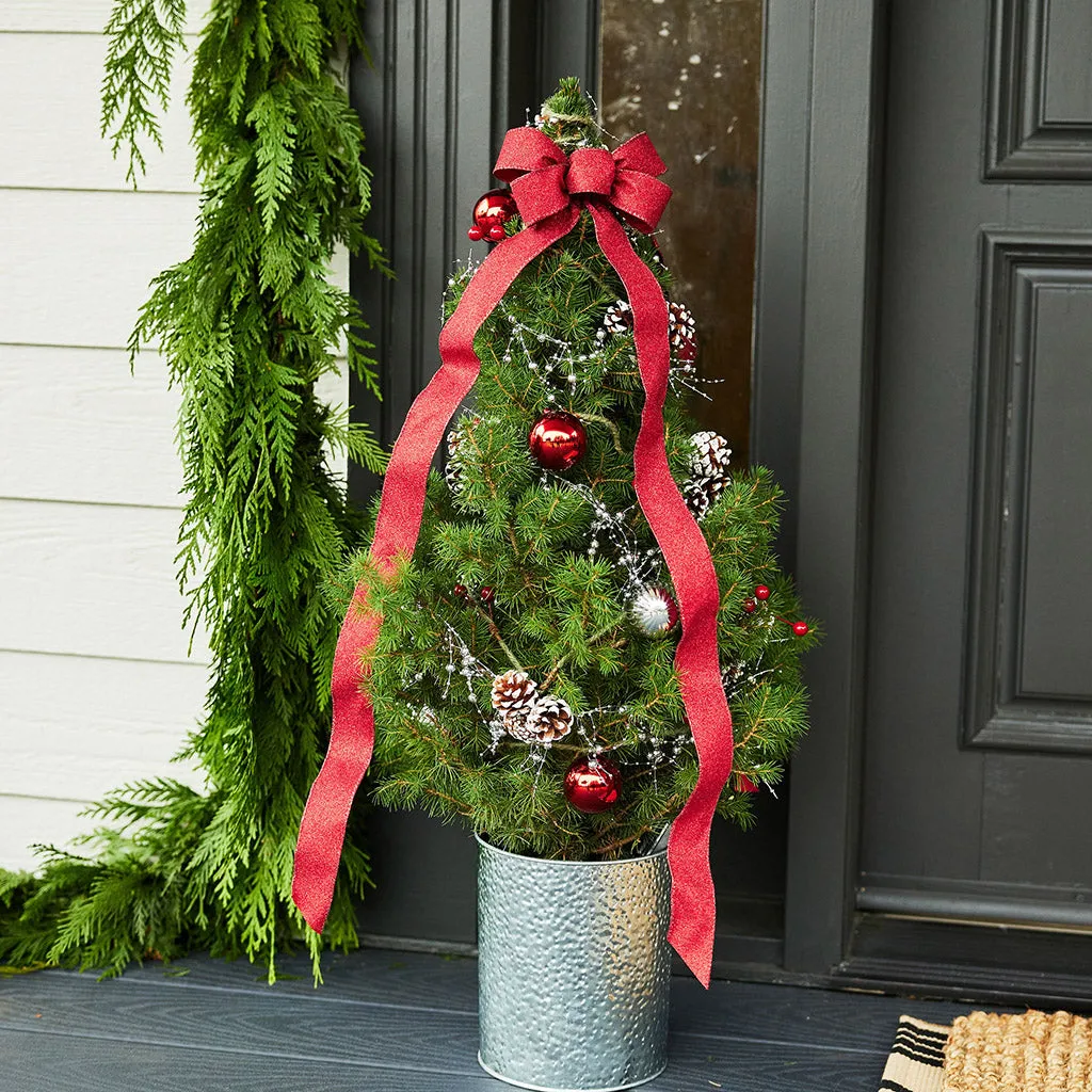 Make Your Holidays Evergreen: Why a Live Christmas Tree from Lynch Cre – Lynch Creek Farm