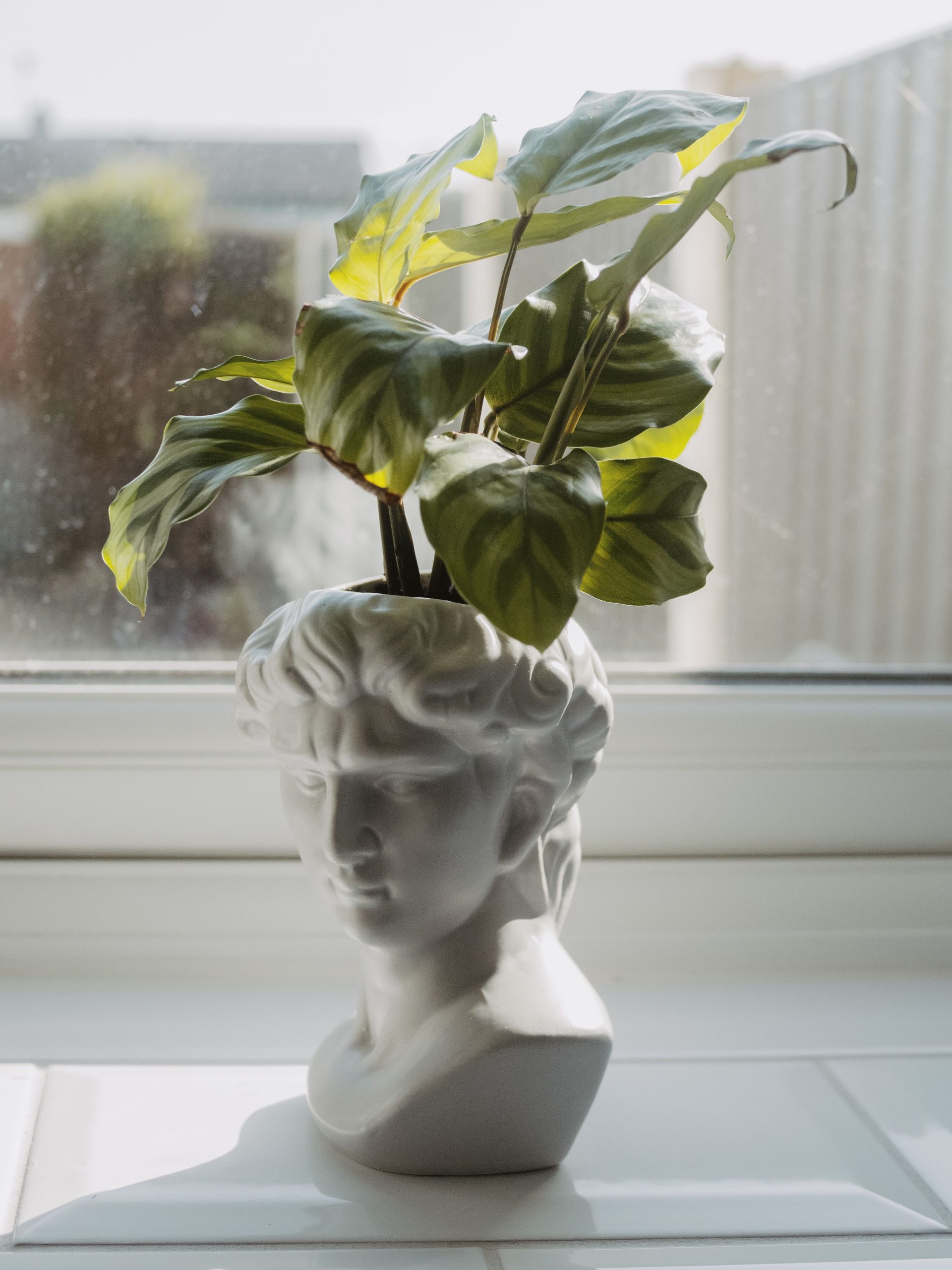 Mannequin head planter with greenery on a sunlit window sill, stylish and artistic decor.
