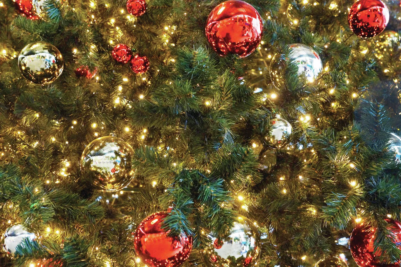 Minister's Message: How Christmas got its festive trees and twinkling lights | Peninsula Clarion