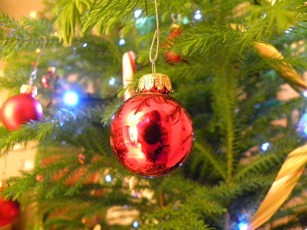 Nightmare Before Christmas: Christmas Trees In Short Supply - Good Earth Plants