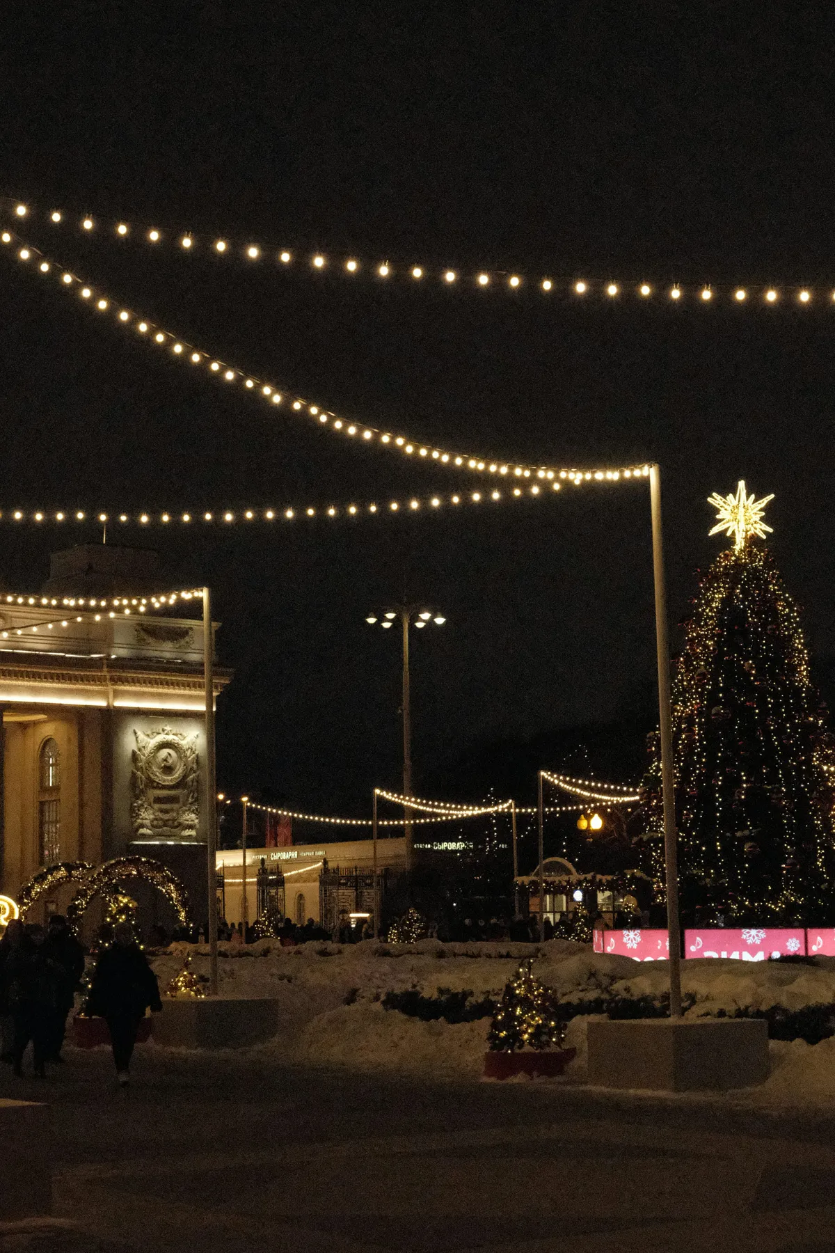 Nighttime view of a decorated christmas tree and lights - Free Photo on  Unsplash