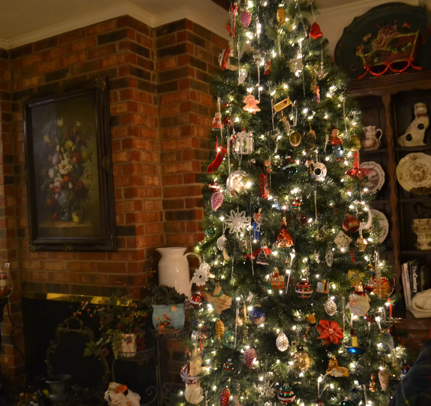 Oh Christmas Tree! Oh Christmas Tree!