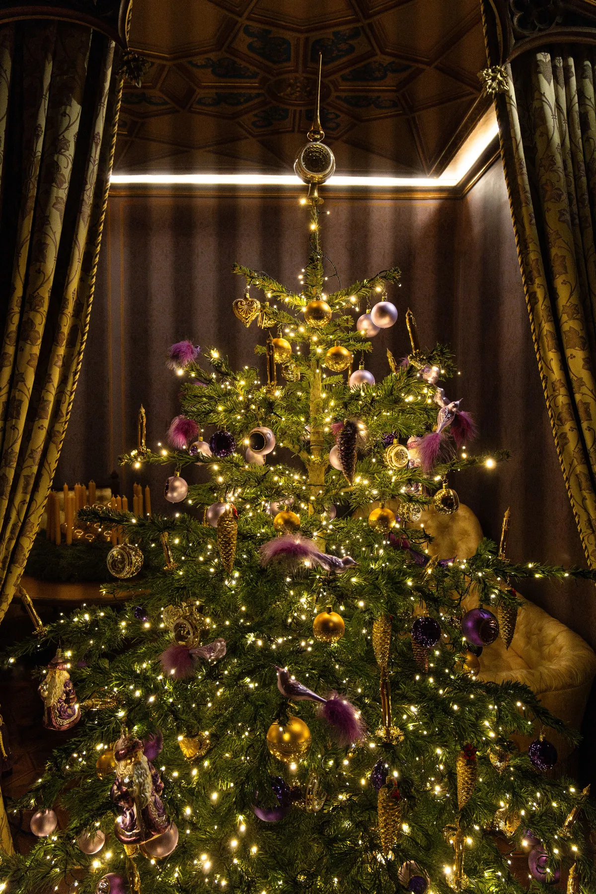 Ornate Christmas tree with golden and purple decorations inside Burg Hohenzollern.