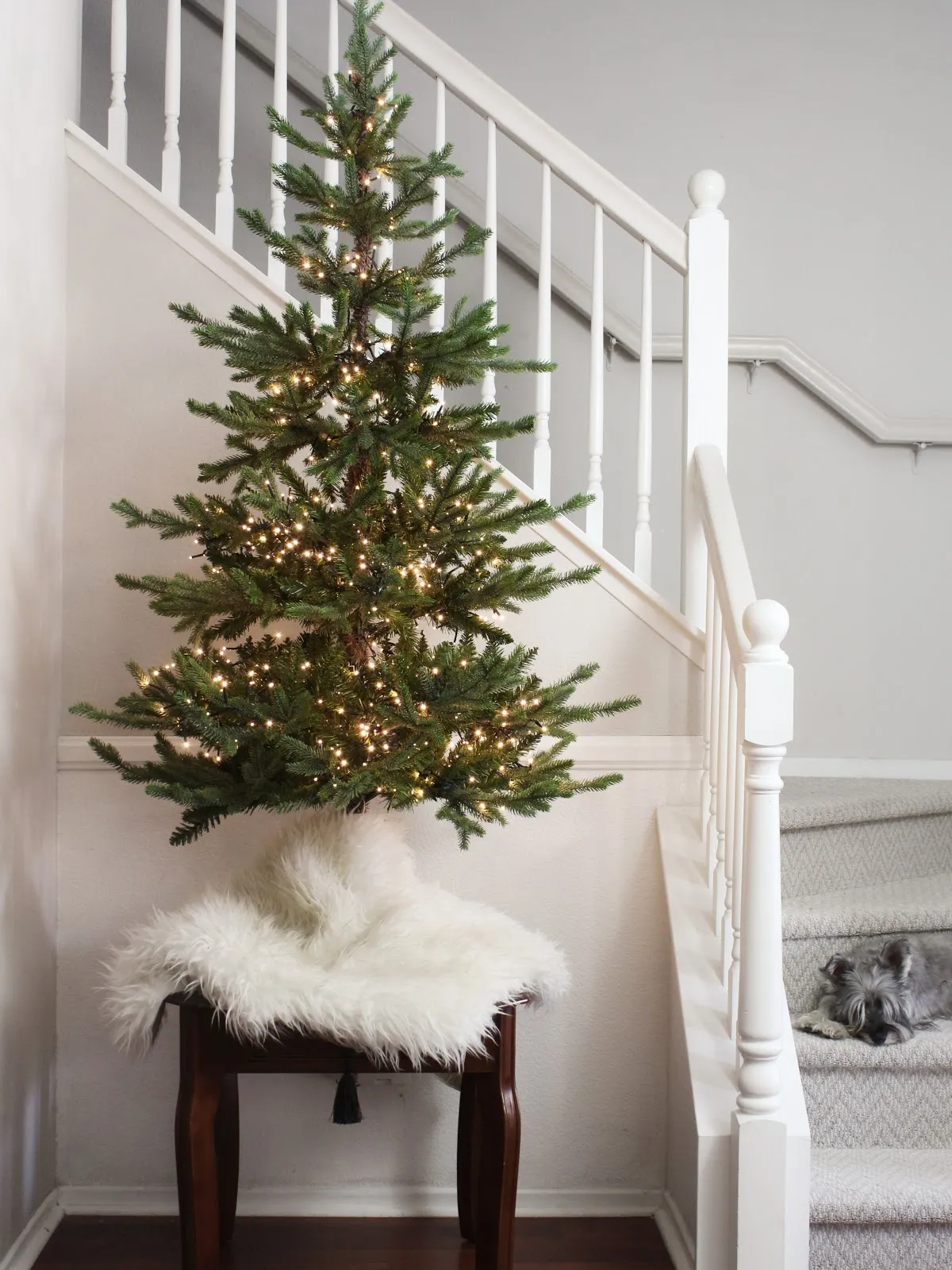 Oscar Bravo Home: An Icy Forest Tabletop Christmas Tree