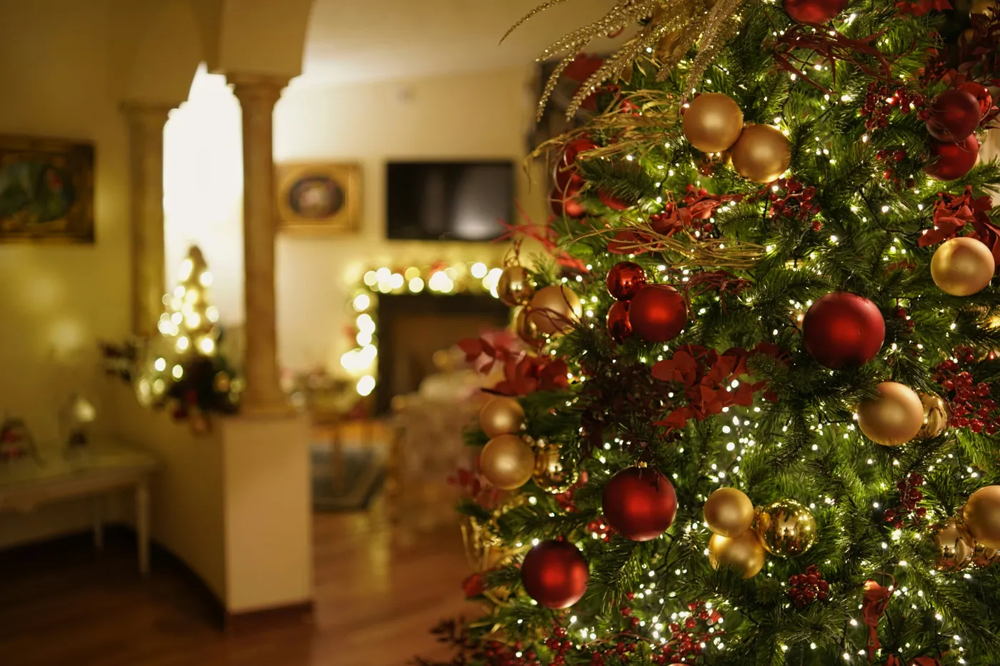 our beautiful Christmas suite, decorated with lights, colors and a Christmas tree.