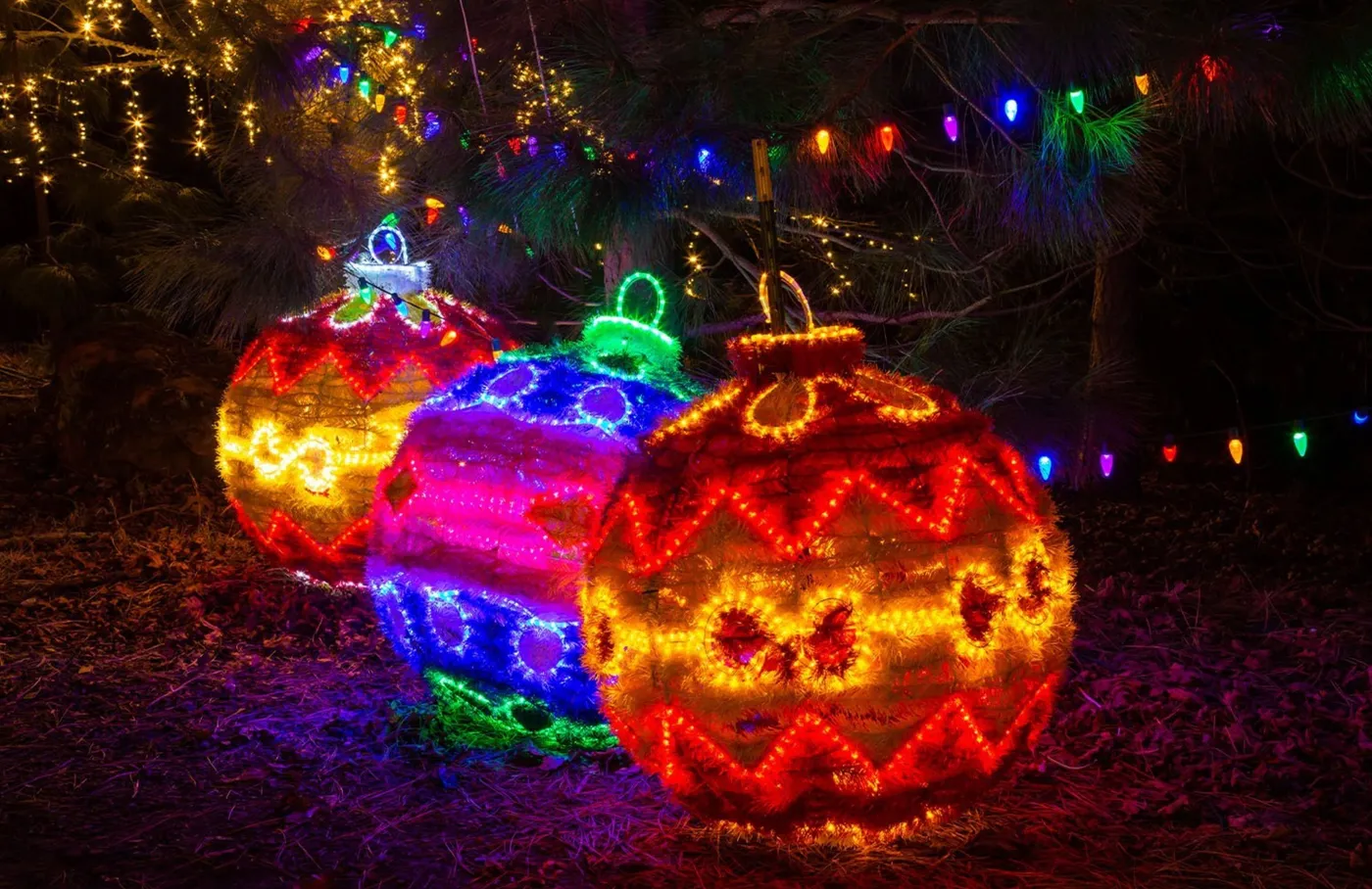 Outdoor Christmas Decorations Near Washington DC - Winter City Lights
