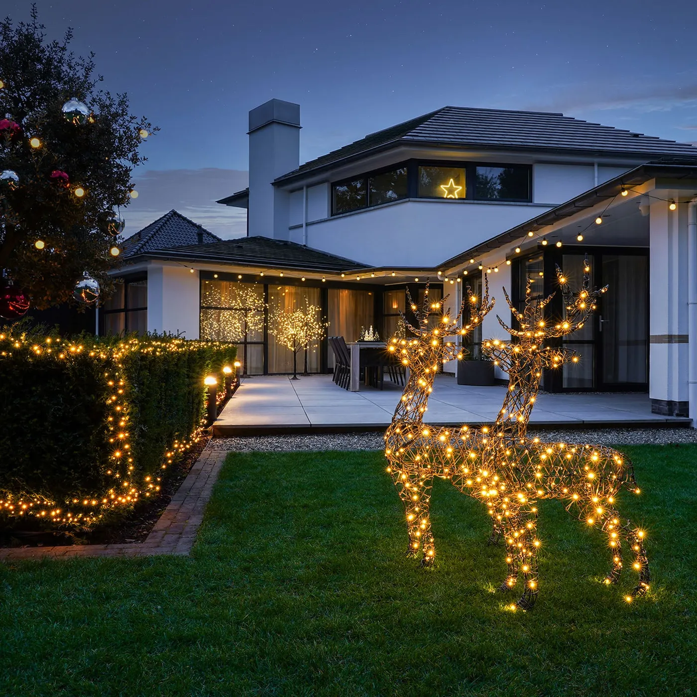 Outdoor Christmas Lights Reindeer | It's all about Christmas