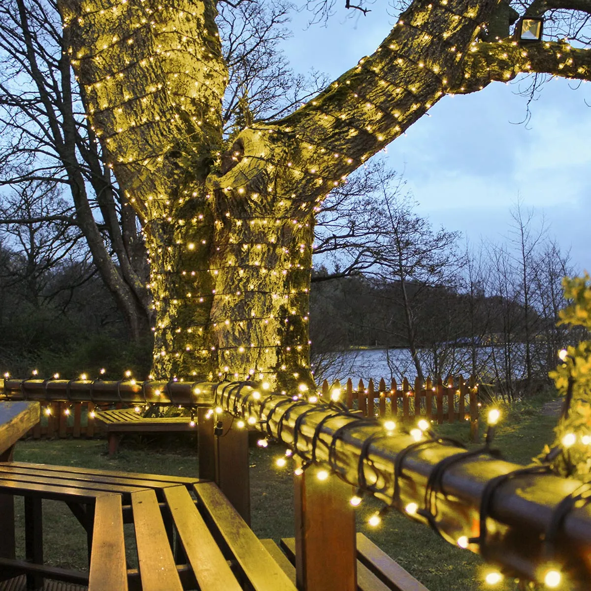 Outdoor Christmas Tree Lights | LED Outdoor Lights | Festive Lights