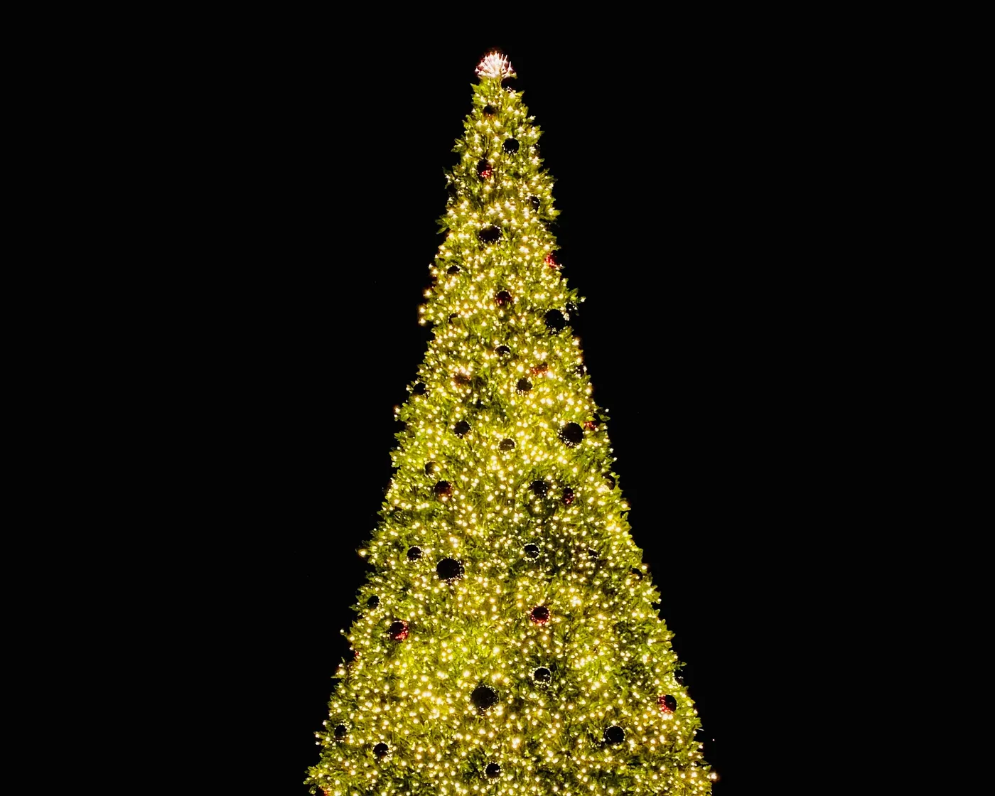 Oversized Christmas Decor: Commercial Outdoor Christmas Trees