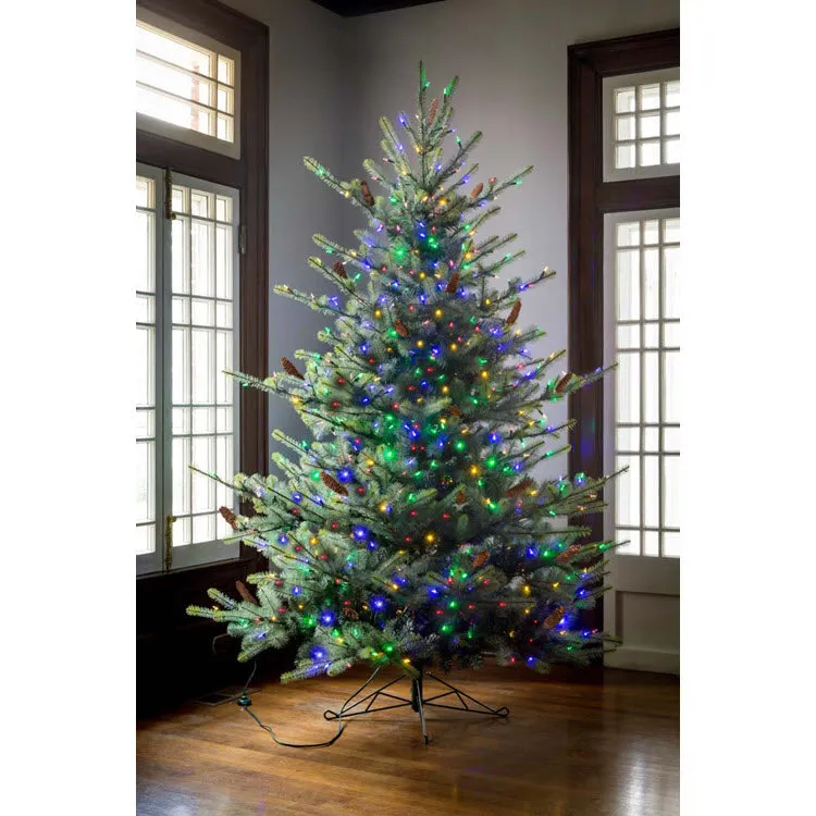 Park Hill 7.5' Blue Spruce LED Clear & Multi Option