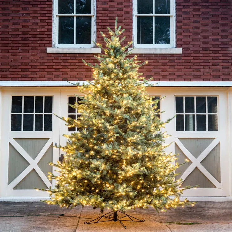 Park Hill Blue Spruce Christmas Tree 12' – A Colorful Farmhouse