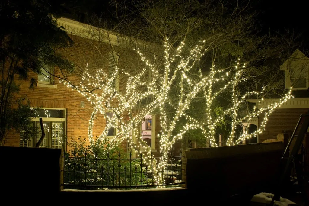 Permanent Decorative Tree Wraps | Light Up Nashville
