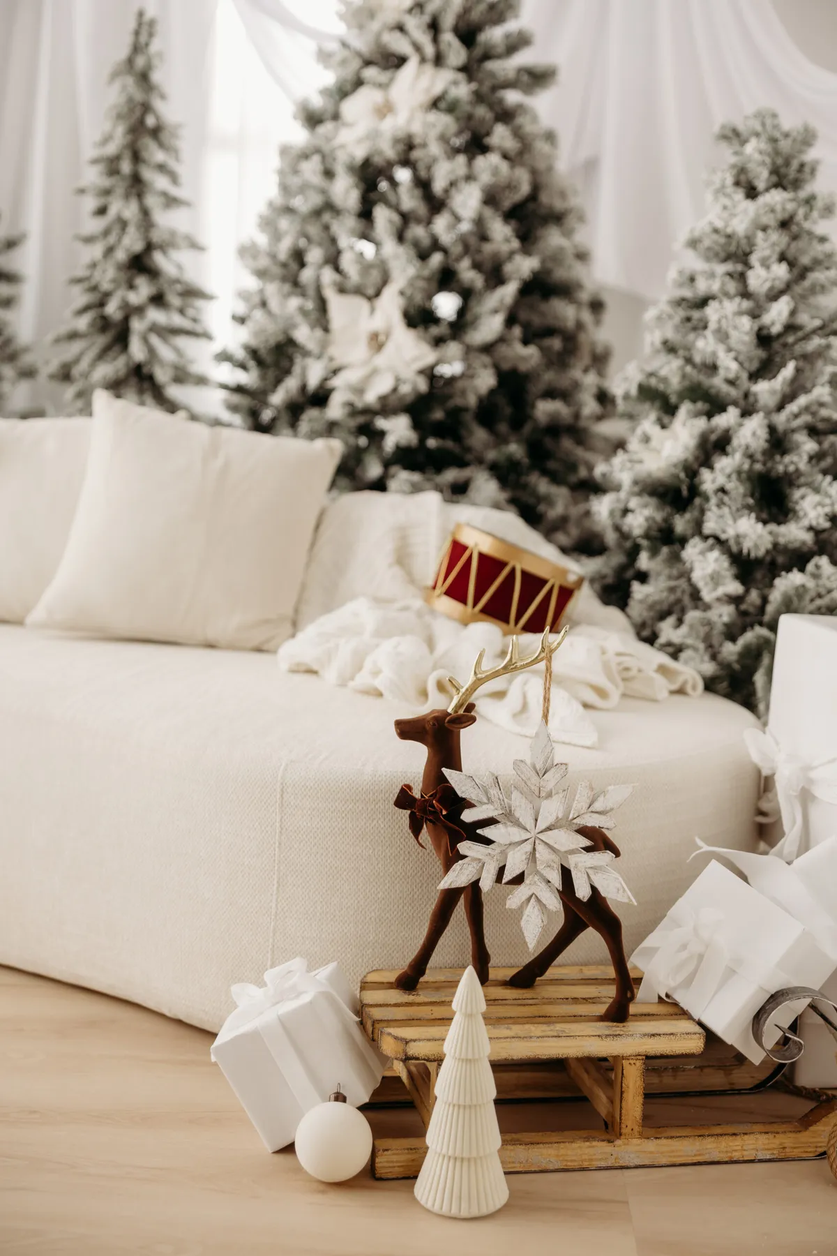 Phoenix Christmas Photos | The 2026 Holiday Heirloom Set - Shanyn Nicole  Photography