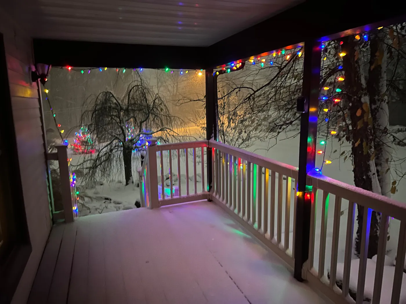 PHOTOS: West Michigan blanketed by Black Friday snowfall