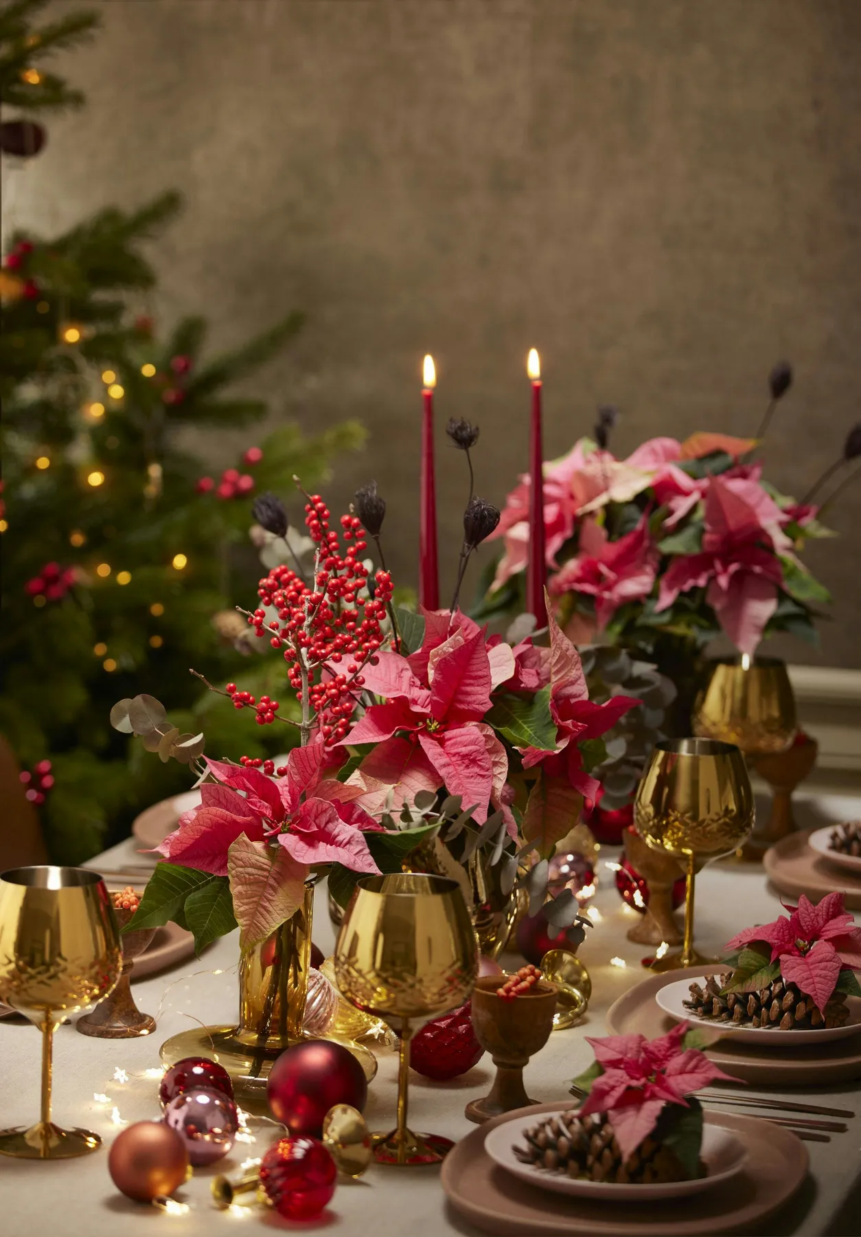 Pink poinsettias, golden vases and glasses, shimmering baubles, candles and a string of lights add festive glamour to this opulent Christmas table. Tip: As cut flowers, poinsettias can be kept for up