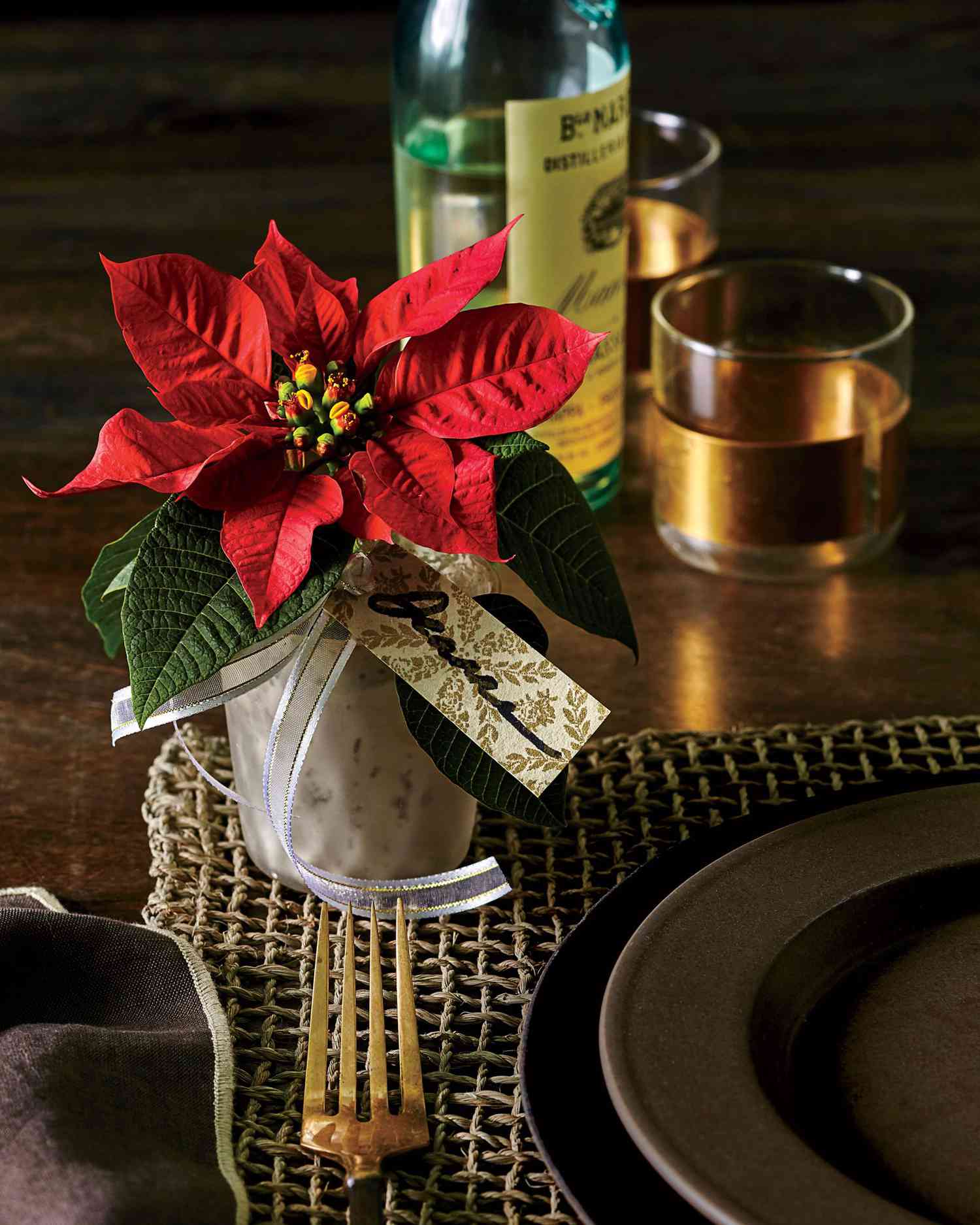 Poinsettia Care For Christmas And Beyond