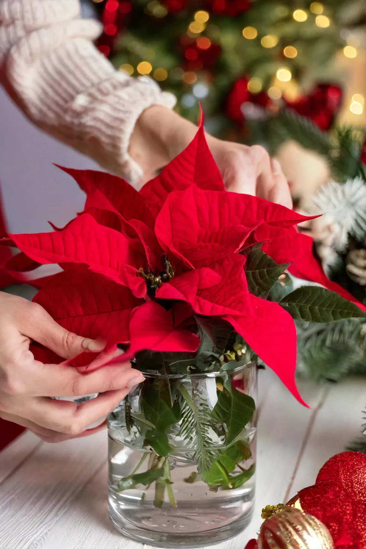Poinsettia Magic: Crafting the Perfect Christmas Table Centerpiece
