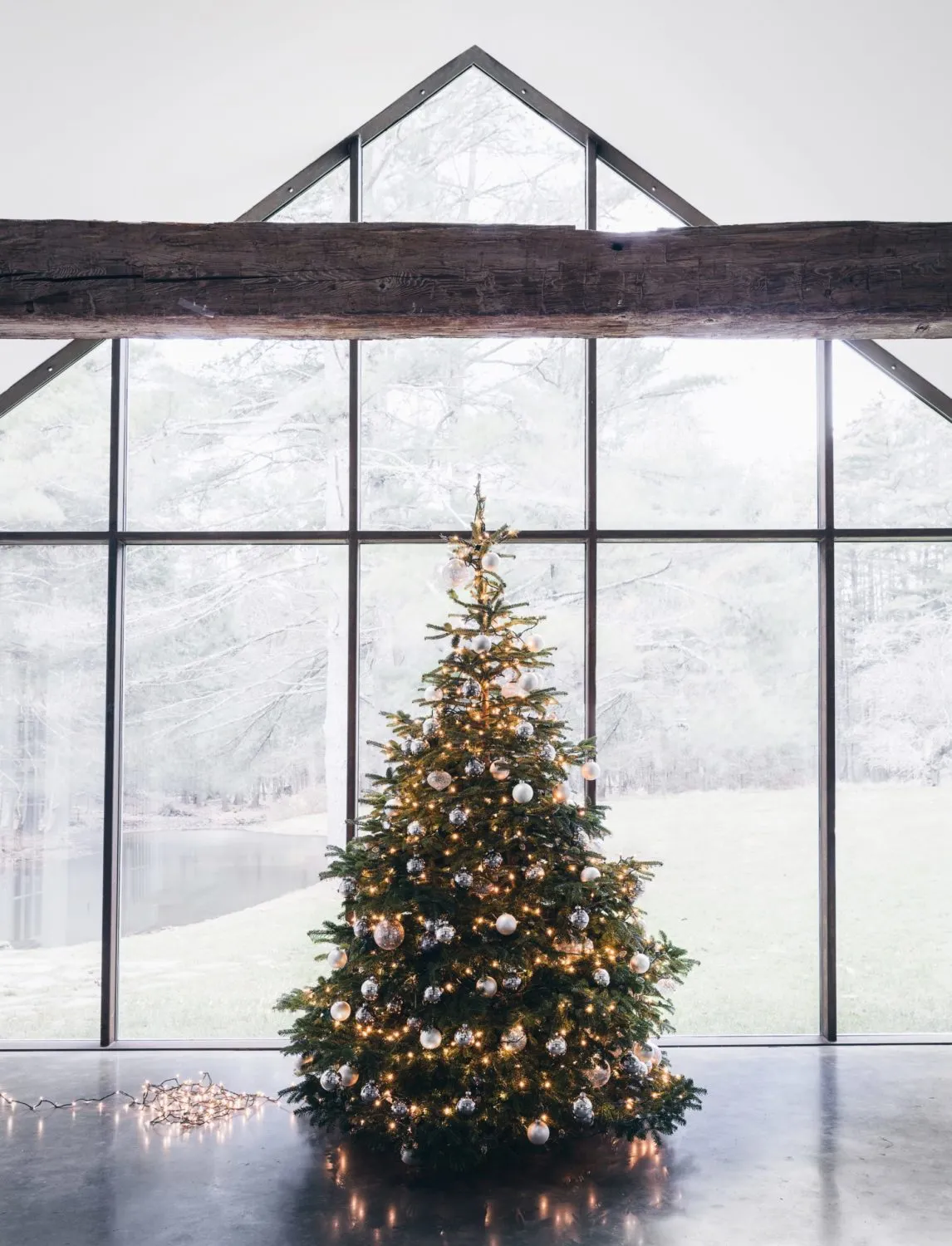 Read These 6 Tree Trimming Tips Before You Start Decorating – Frederic Magazine