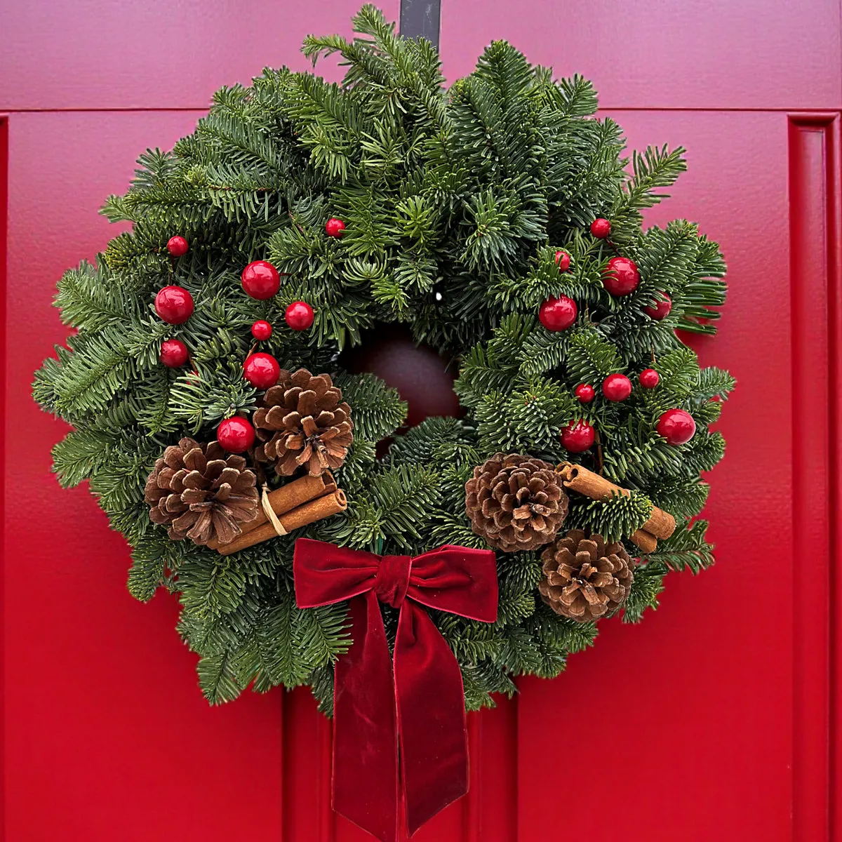 Real Christmas Wreath 10 inch Festive Red - Fresh Fir Handcrafted Luxury Seasonal Indoor & Outdoor Christmas Decoration