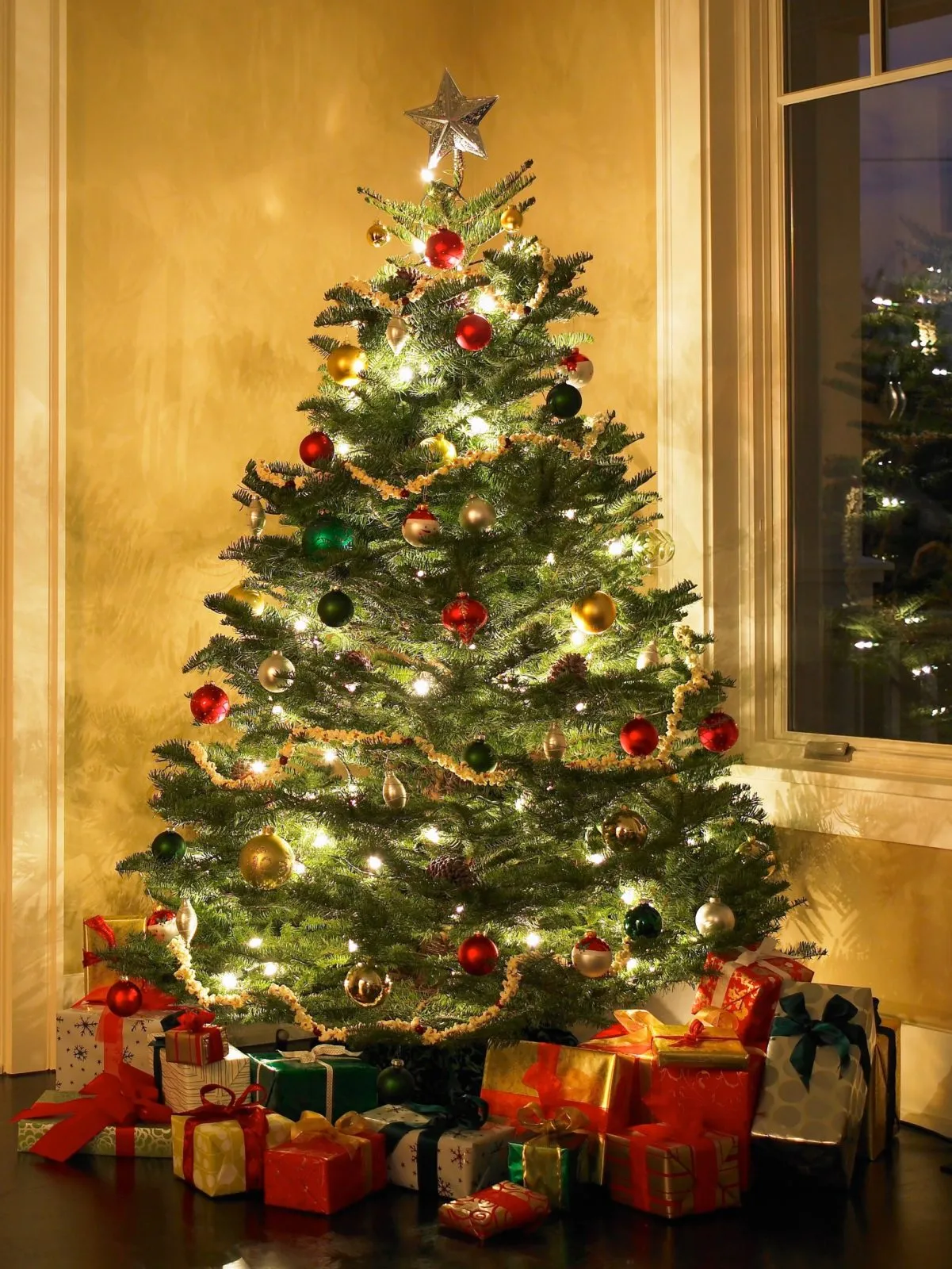 Real or Fake? Transform Your Holiday by Choosing the Perfect Christmas Tree – Rhode Island Tree Council