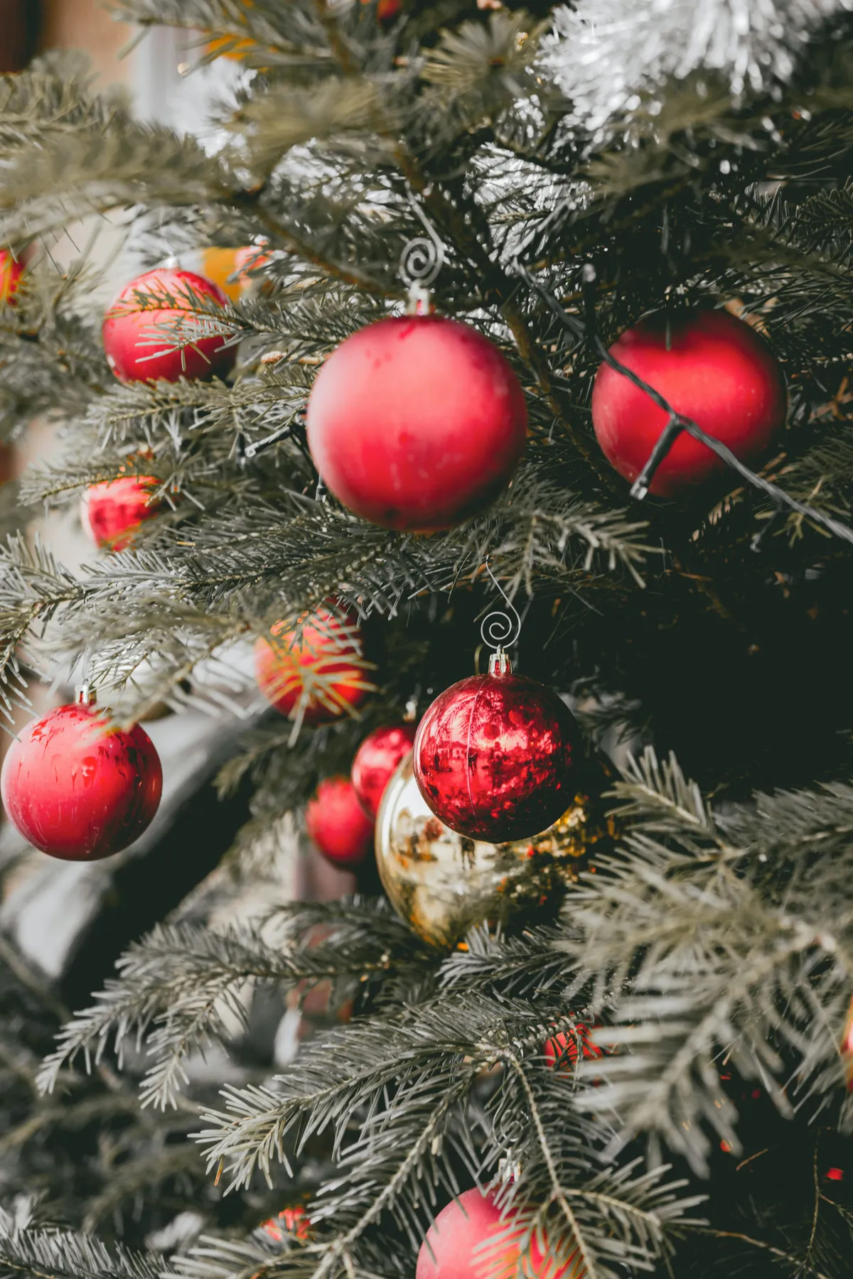 Red and white gift box on green christmas tree - Free Photo on Unsplash