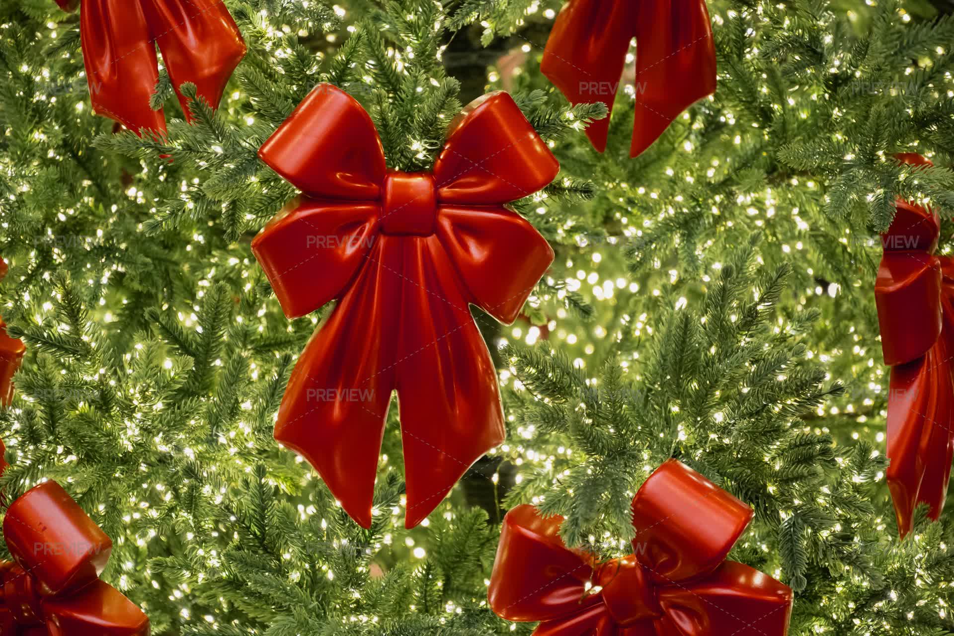 Red Velvet Bows And Lights Garland On Trendy Christmas Tree by Svetlana  Lazhko - Stock Photos | Motion Array