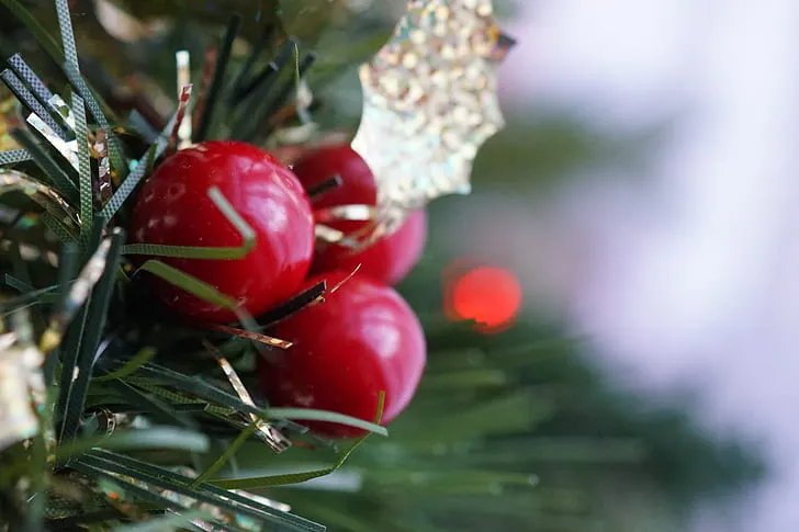 Royalty-Free photo: Close-up of Christmas Decoration Hanging on Tree | PickPik