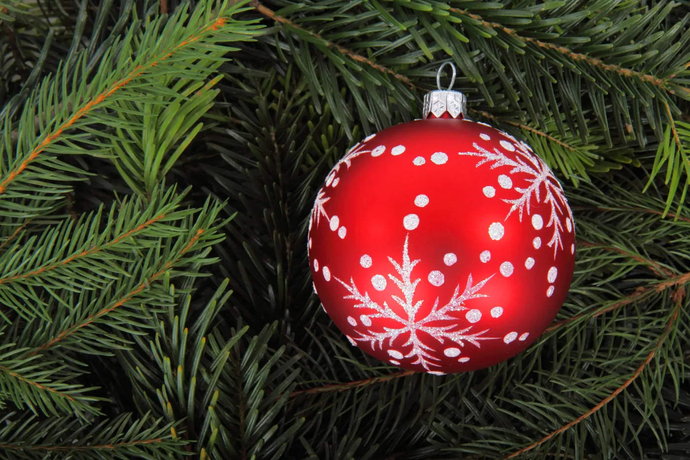Royalty-Free photo: Red and grey snowflake printed ornament on Christmas  tree | PickPik