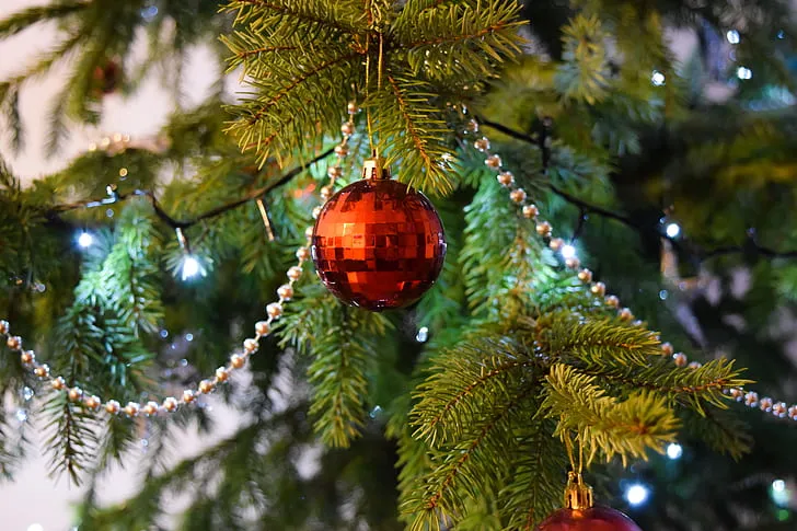 Royalty-Free photo: Red Baubels Hang on the Christmas Tree | PickPik