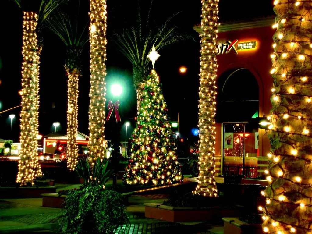San Antonio LED Christmas lights – Outdoor Lighting Perspectives of San  Antonio