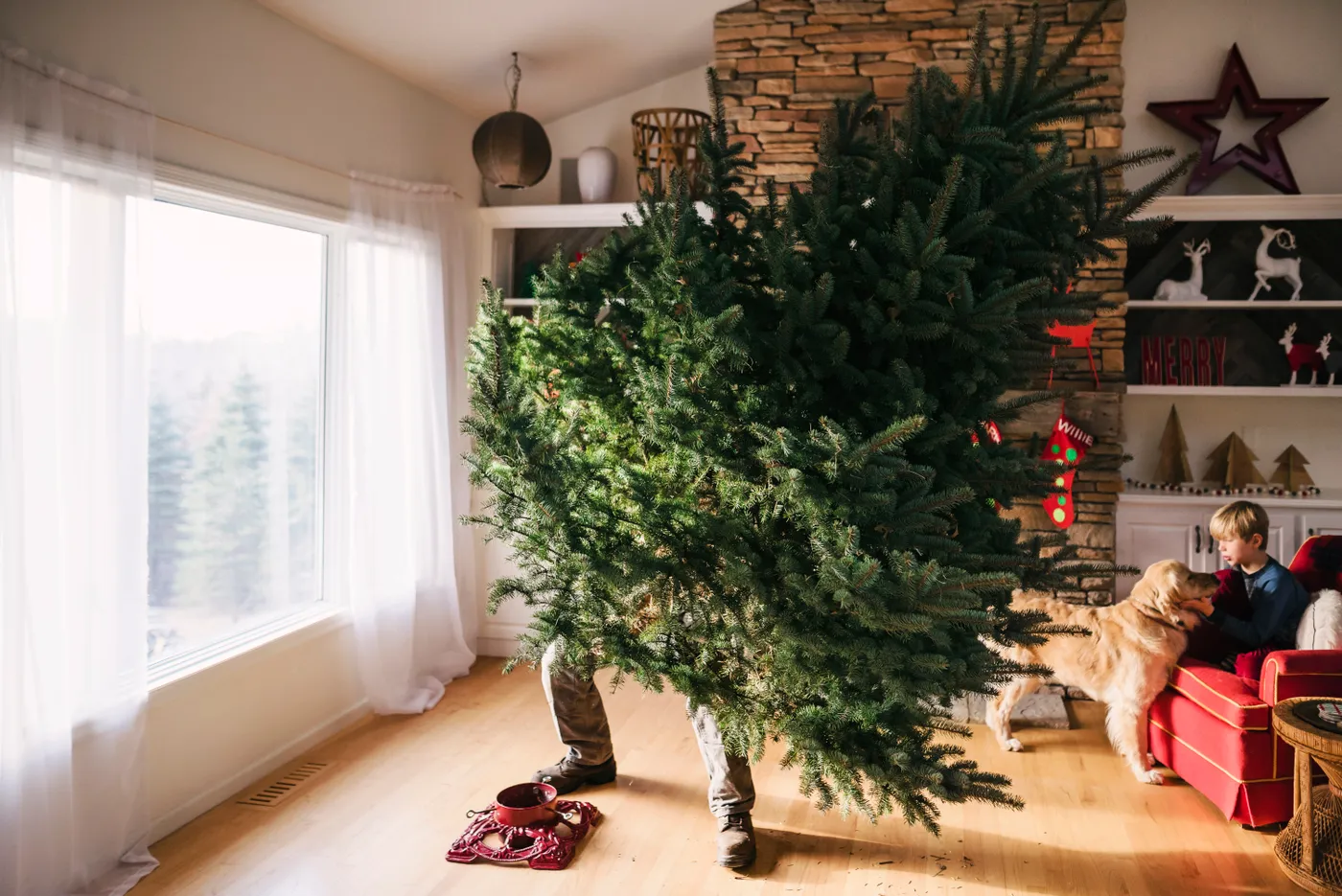 Should I Buy a Real or Artificial Christmas Tree?
