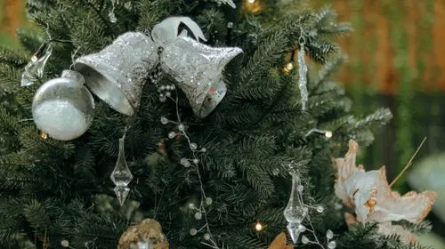 Silver Ornaments Photos, Download The BEST Free Silver Ornaments Stock Photos & HD Images