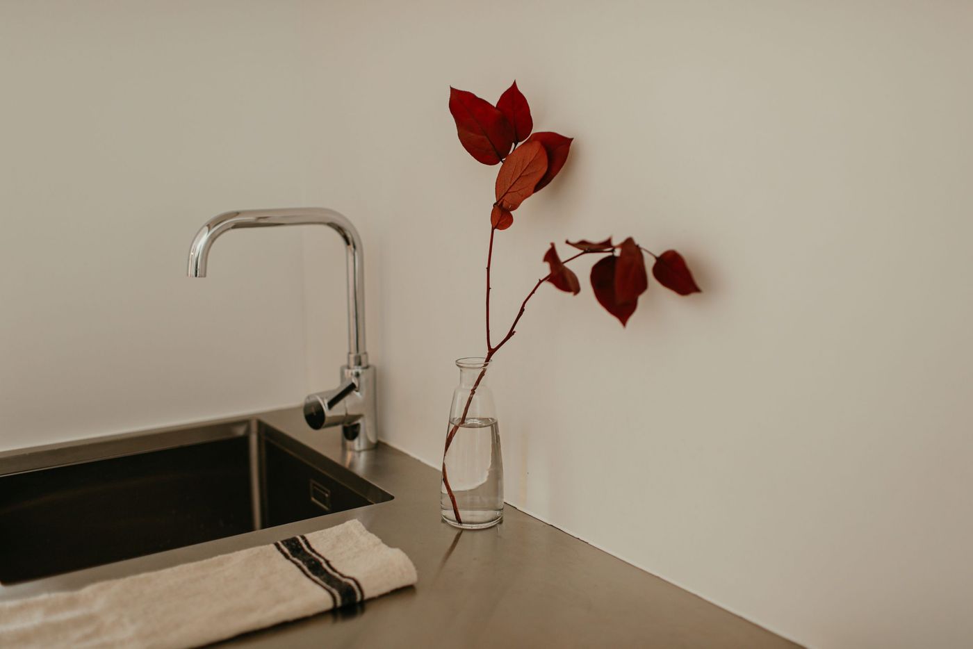 Simple and elegant kitchen design featuring a minimalist setup and red leaves in a vase.