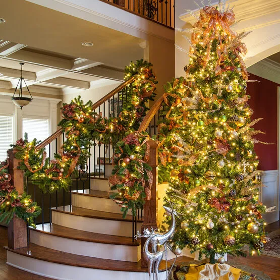 Slender Douglas Fir - Wintergreen Corporation