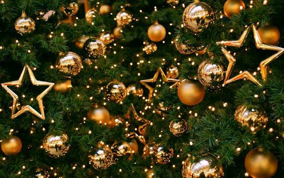 Spectacular Annual Tree Lighting at Union Station – Los Angeles Sentinel