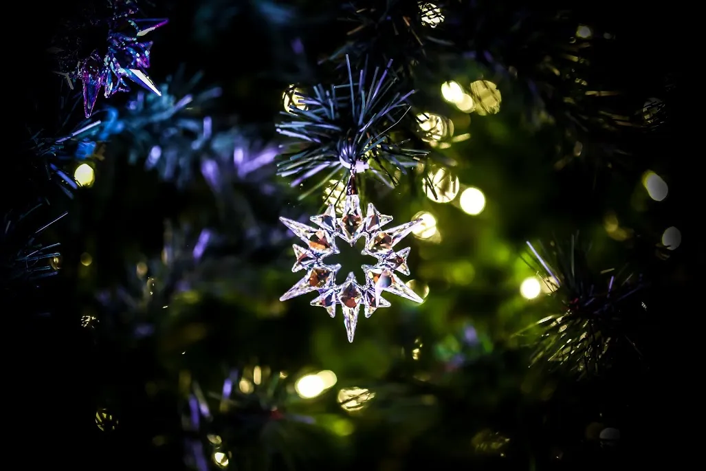 Swarovski Christmas Tree Lighting | Tom Lee Music Blog | Tom Lee Music