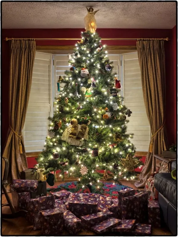The 3 Main Advantages of Fresh Christmas Trees | Burkholder