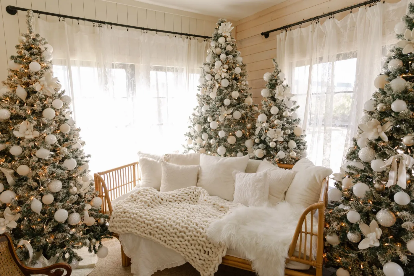 The Cottage — Studio House AZ