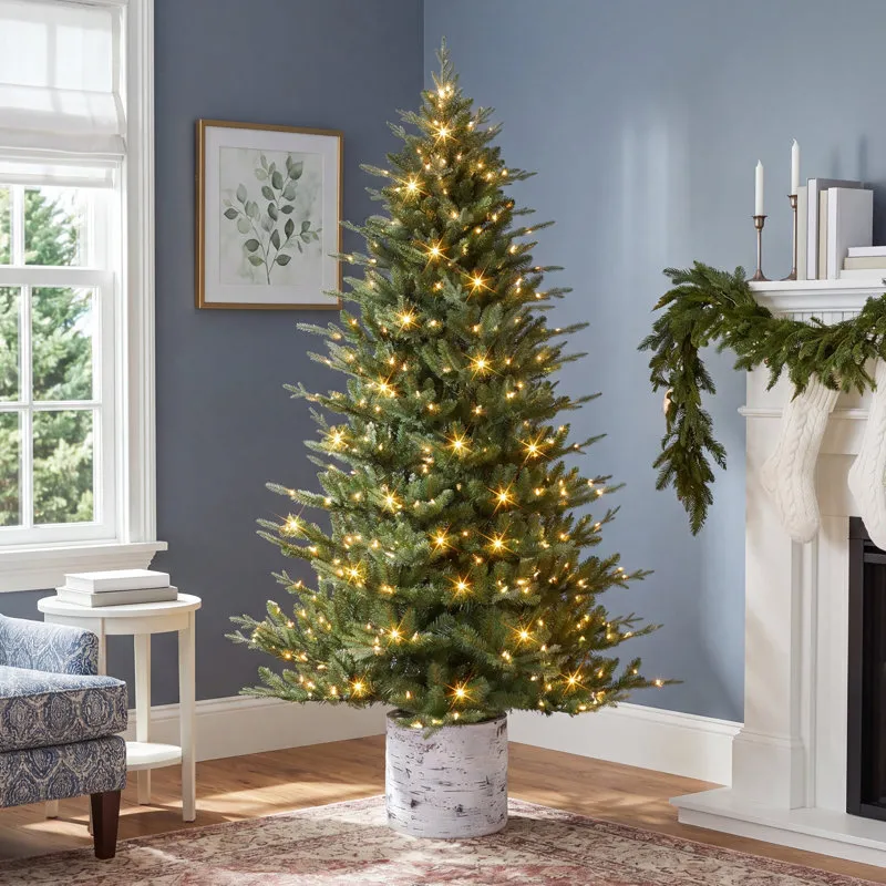 The Holiday Aisle® 7.5 Ft PE/PVC Potted Tree, 1534 Tips, 450 UL Clear Incandescent Lights | Birch Lane