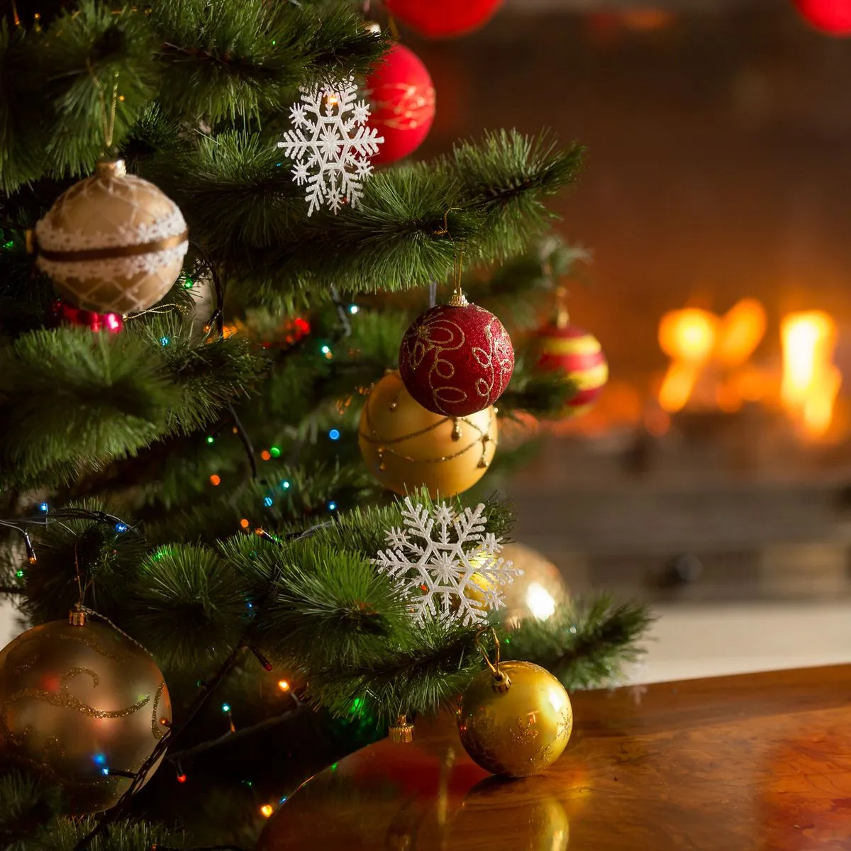 The simple Christmas tree hack to keep it alive and green for up to six weeks - Daily Record