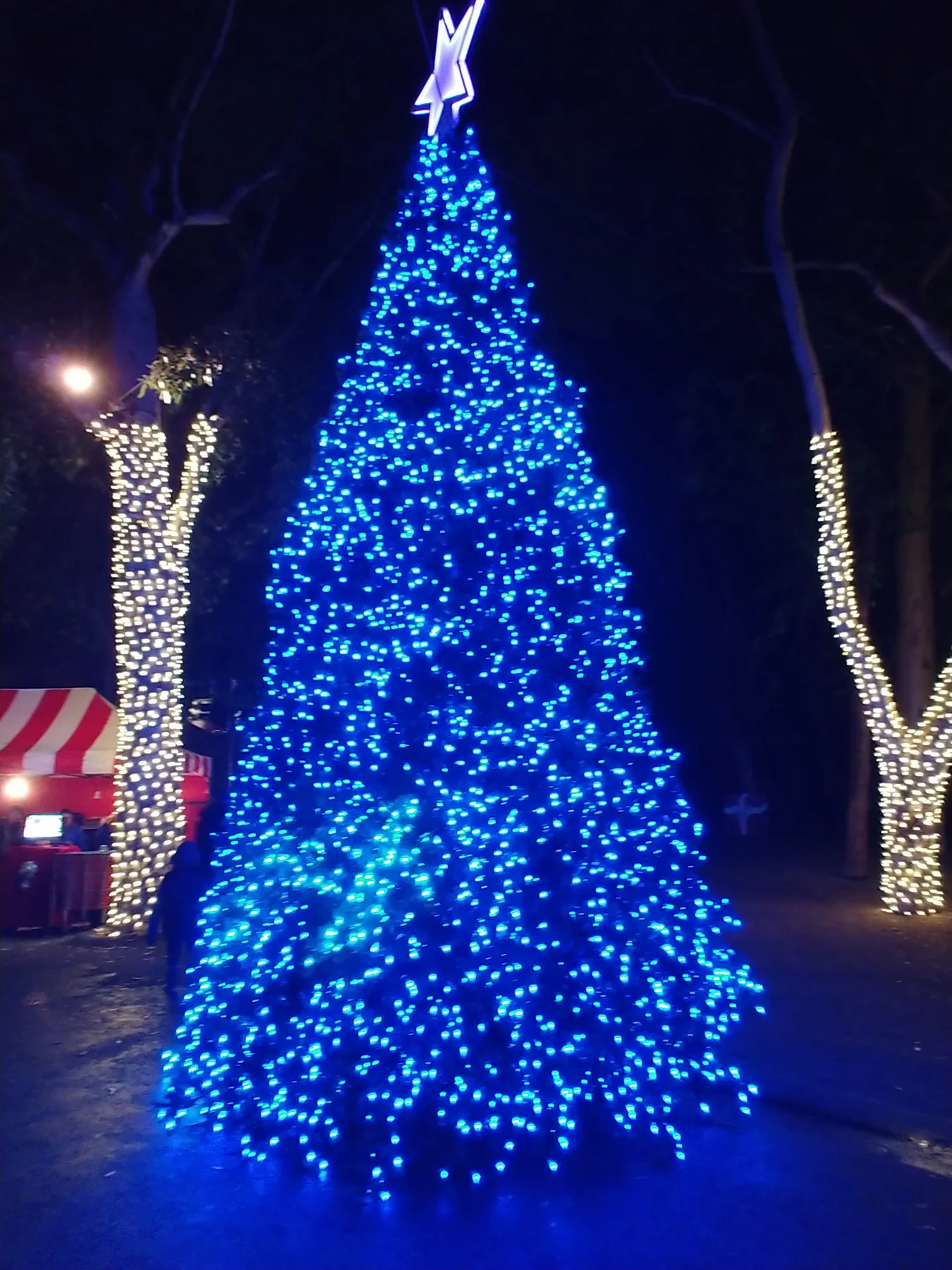 The Twinkly History of Christmas Lights - M.B. HENRY - Author