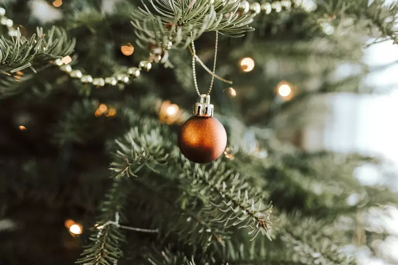 Things to Remember That Will Keep Your Christmas Tree Fresh
