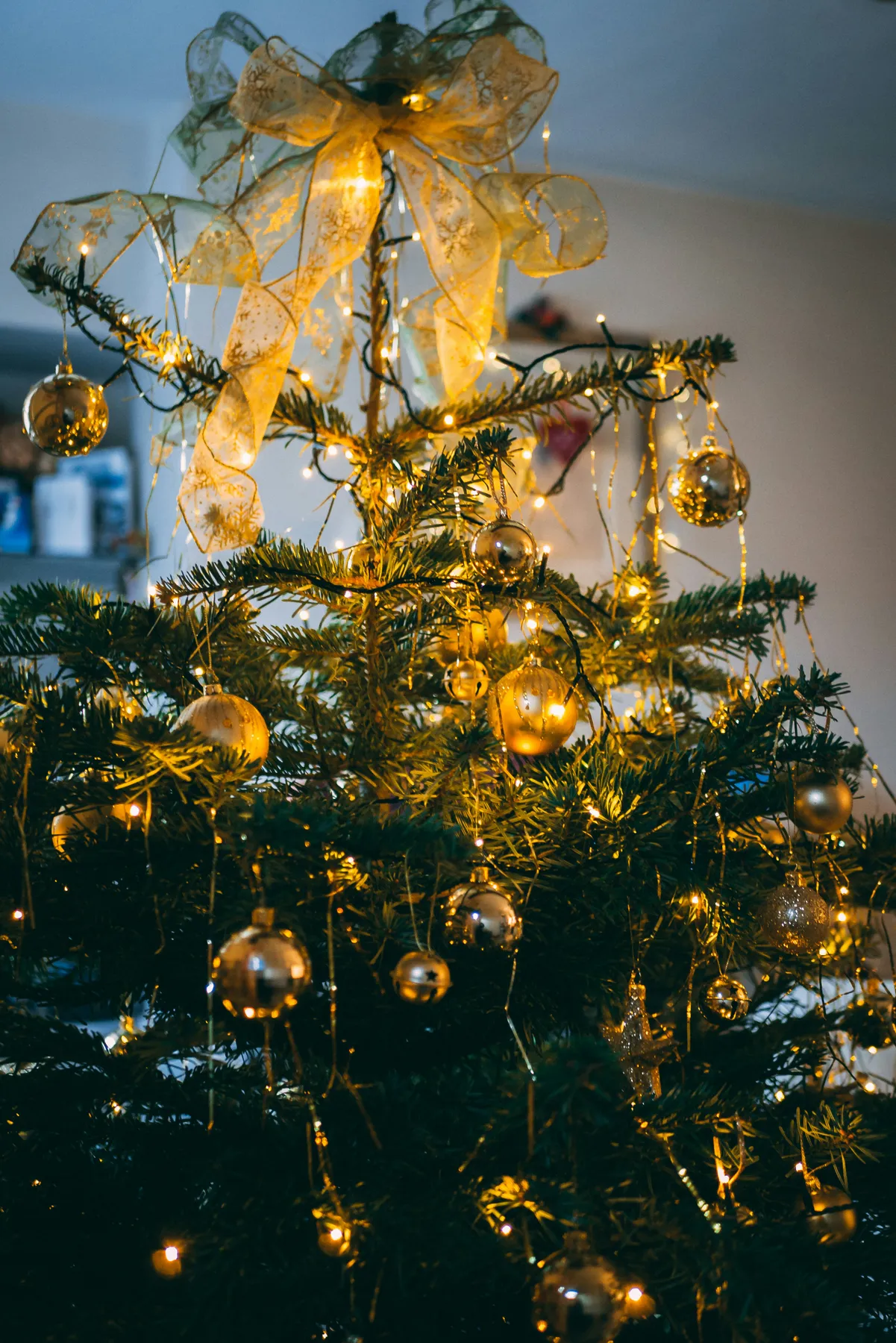 This year Christmas was spent with my girlfriends parents, and it made for a beautiful day. Especially because the colour scheme in their house makes for great photos… which is what it’s all about, ri
