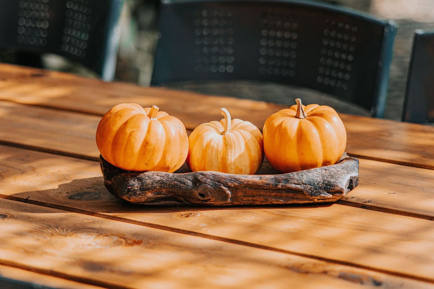 Three mini pumpkins on a wooden tray create a warm autumn centerpiece.