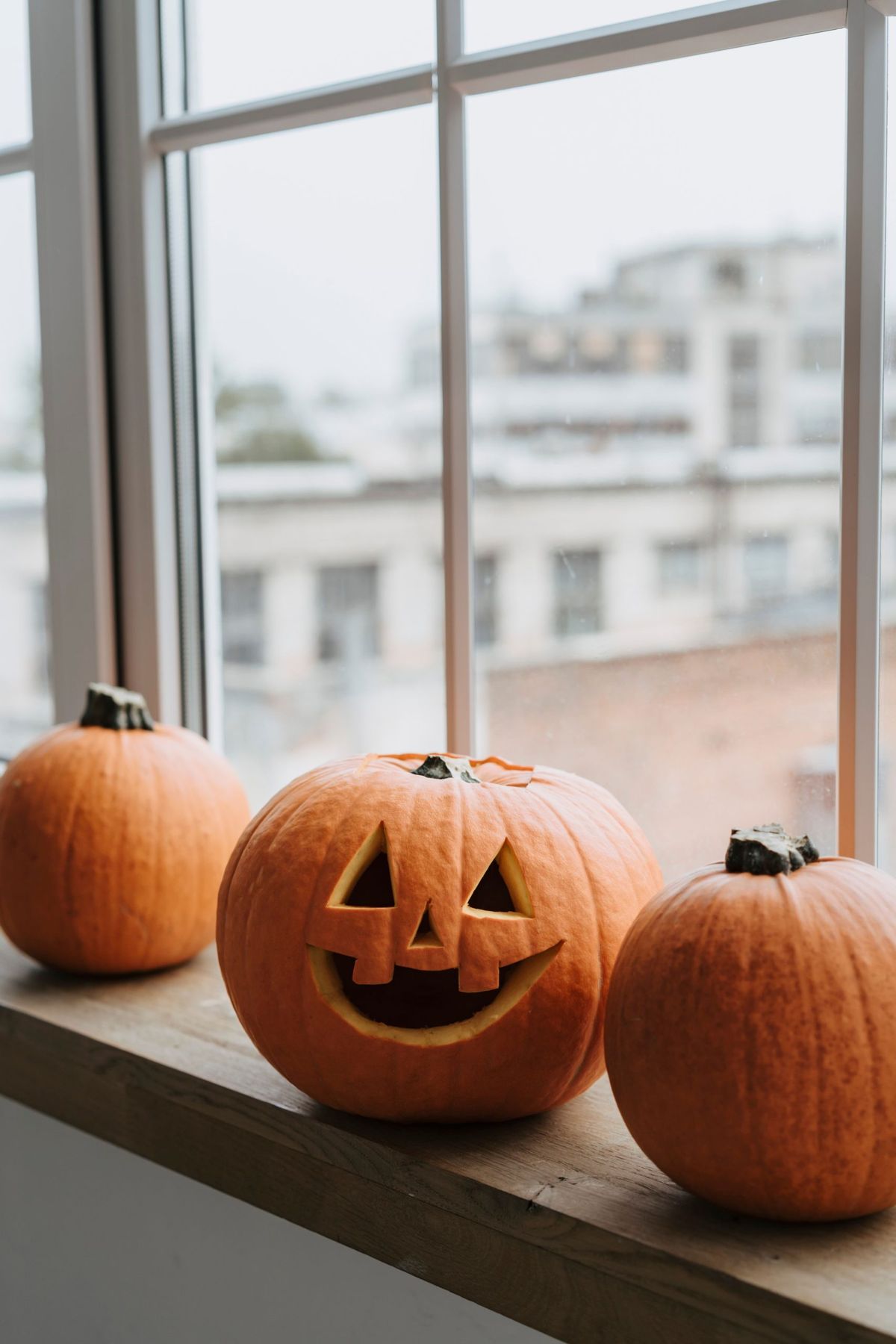 Three pumpkins including a carved jack-o'-lantern by a window, perfect for Halloween decor.