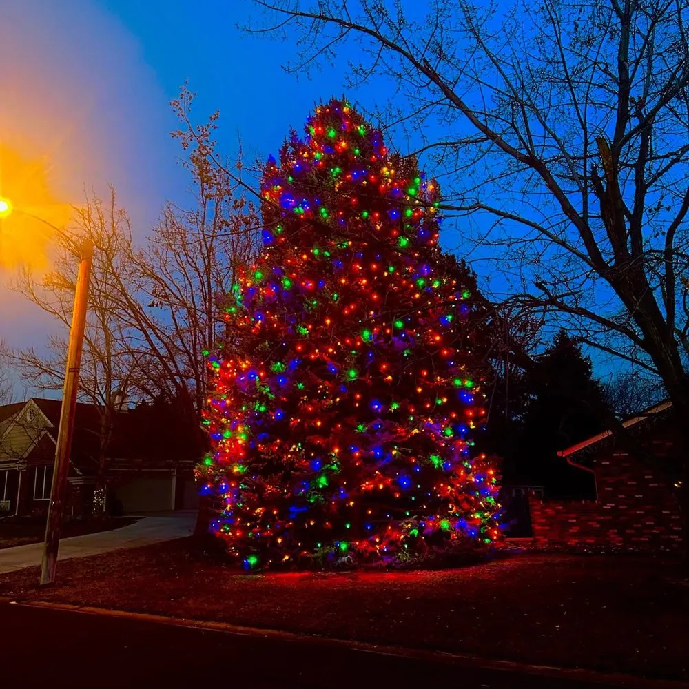 TOP 10 BEST Holiday Decorating Services near Grand View Estates, CO - Updated 2026 - Quality & Affordability - Yelp