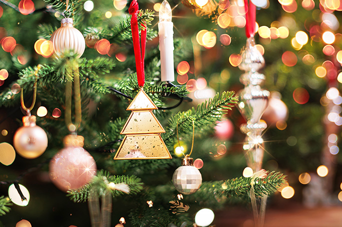Top Interesting Facts About the Christmas Tree —